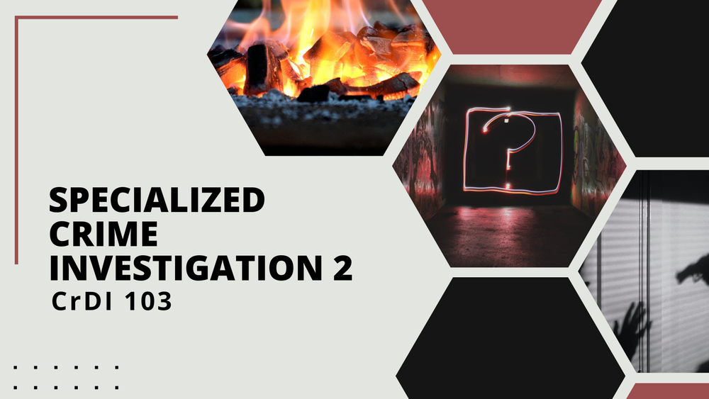 Cover image for Specialized Crime Investigation 2 course